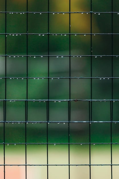 Solar Panel Efficiency 2025: Which Tech Reigns Supreme?