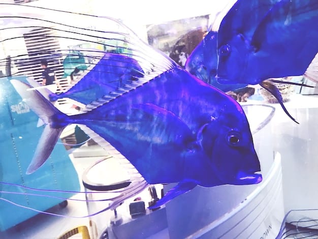 Close-up of a fish-friendly turbine with a clear passage for fish to swim through safely, showcasing the innovative design and engineering involved.
