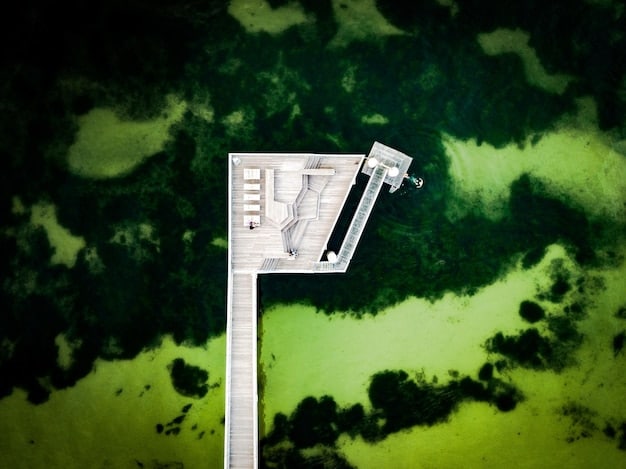 A person using a drone to inspect solar panels on a rooftop, capturing high-resolution images to check for damage, debris, or other issues.