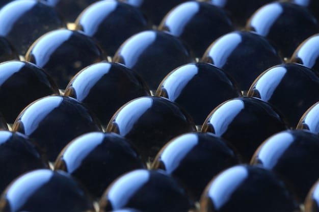 A close-up of a monocrystalline solar panel, showing the uniform, dark black silicon cells. The panel is clean and reflects a clear sky, highlighting its high-quality construction. The focus is on the texture and structure of the silicon, emphasizing the panel's efficient design.
