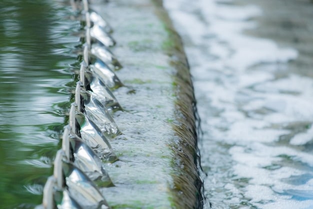 A close-up illustration of a fish ladder system at a hydropower dam, showing fish swimming upstream through the specially designed channels. The image should highlight the engineering and the natural habitat.