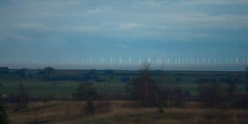 Investing in Renewable Energy Stocks: Your 2025 Guide - Cover Image