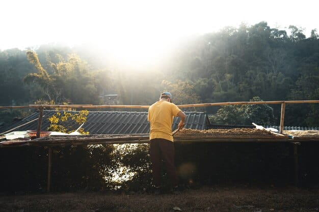 Solar Panel Maintenance: Extend Life & Save Money in the US
