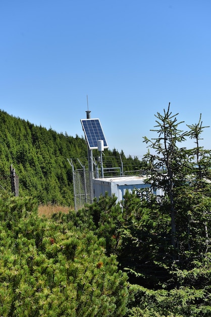 Choosing a Renewable Energy Provider: Your 2025 Guide