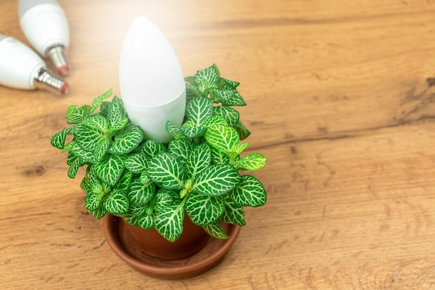 A close-up shot of an energy-efficient LED light bulb illuminating a room. The room is decorated with plants, suggesting an eco-friendly and sustainable home.