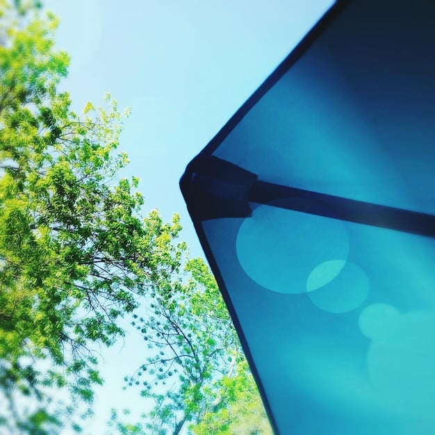 New Federal Incentives for Solar Panels: Are You Eligible in 2025?