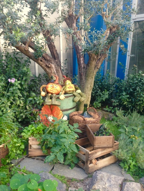 Sustainable Gardening for Beginners: Your 3-Month Food Growing Guide
