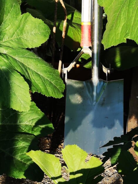 A drip irrigation system installed in a vegetable garden, showing water being delivered directly to the base of the plants. The image highlights the efficiency and water-saving benefits of drip irrigation in a sustainable garden.