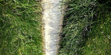 Water Conservation Tips: Slash Your Bill by 20% This Summer - Cover Image