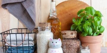 Eco-Friendly Cleaning Products: Your Guide to a Non-Toxic Home - Cover Image