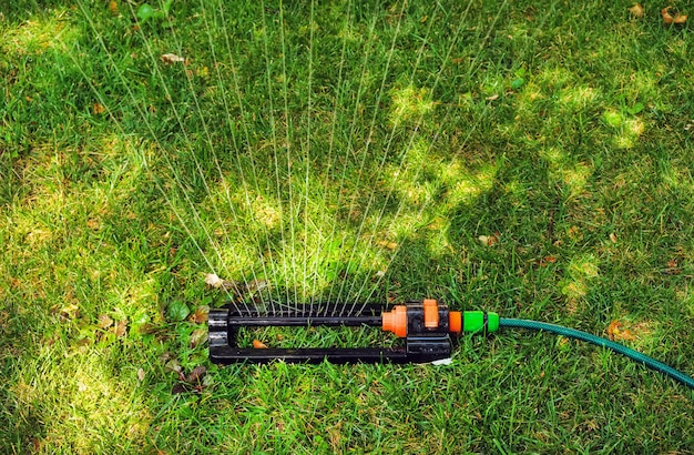 Water Conservation Tips: Save Money This Summer