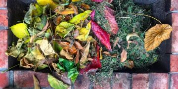Composting 101: Your Guide to Gold in the Garden - Cover Image