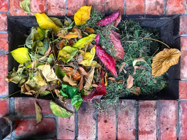 Composting 101: Your Guide to Gold in the Garden