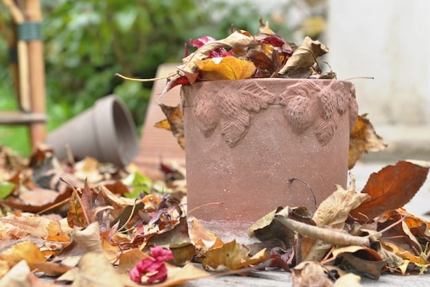 Two piles of compost materials: one pile of dry, brown leaves and twigs, and another pile of fresh, green vegetable scraps. Labels clearly identify each pile as 