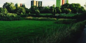 The Future of Sustainable Housing: Innovations to Watch in 2025 - Cover Image
