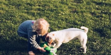 Sustainable Pet Care: Eco-Friendly Tips for Pet Owners - Cover Image