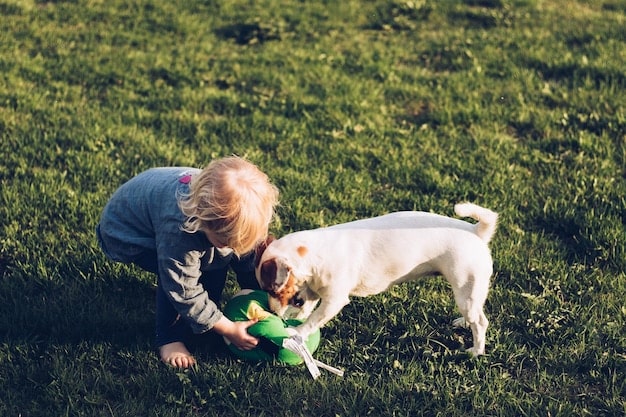 Sustainable Pet Care: Eco-Friendly Tips for Pet Owners