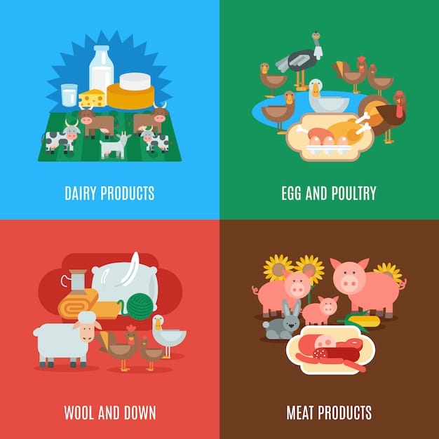 An infographic comparing the carbon footprint of different food types, including beef, chicken, pork, dairy, vegetables, and fruits. The infographic uses visually appealing charts and graphs to clearly illustrate the differences in greenhouse gas emissions per serving.