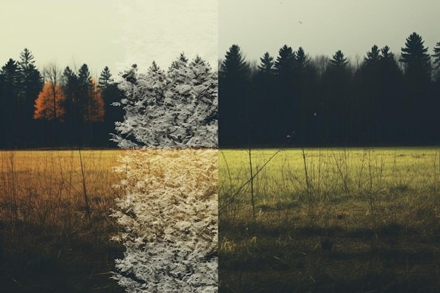 A split image showing two contrasting landscapes: on one side, a deforested area cleared for cattle ranching, and on the other side, a thriving forest with diverse plant and animal life. The image emphasizes the impact of land use choices on the environment.