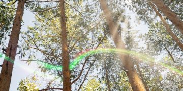 Understanding Carbon Offsets: A Guide to Sustainable Living - Cover Image