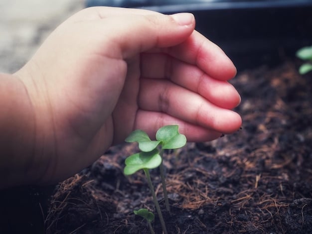 A close-up of a hand planting a sapling in fertile soil, symbolizing reforestation efforts. The background is slightly blurred, focusing attention on the act of planting and the potential for growth.