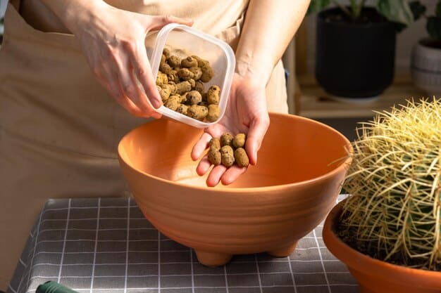 A close-up shot of a person filling a dog's bowl with organic, grain-free kibble from a biodegradable bag. The focus is on the quality and sustainability of the pet food.
