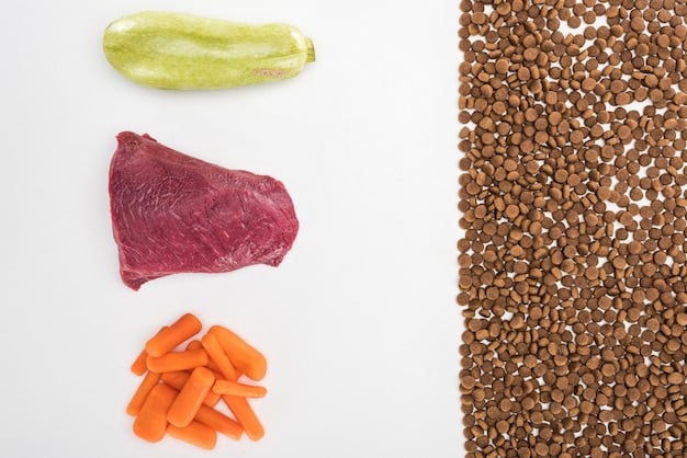 A visual comparison of water consumption required to produce 1 kg of beef versus 1 kg of lentils, highlighting the disparity in water usage between animal and plant-based protein sources.