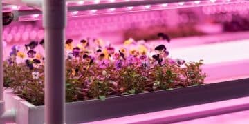 Vertical Farms: Revolutionizing US Agriculture with Key Yield Innovations - Cover Image