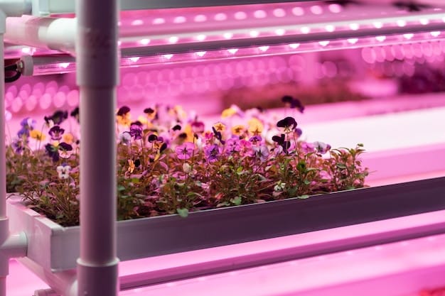 Vertical Farms: Revolutionizing US Agriculture with Key Yield Innovations