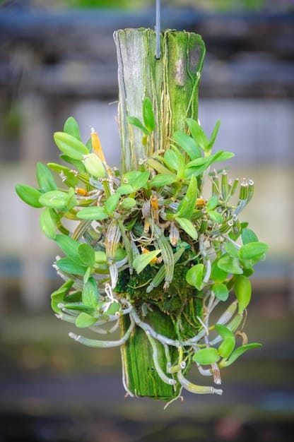 A close-up shot of plant roots suspended in air within an aeroponic vertical farm setup. The roots are misted with nutrient-rich water, showcasing the efficient nutrient delivery system.