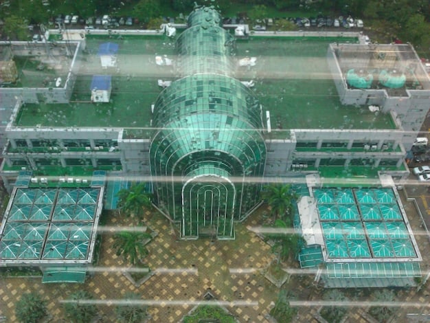 Green Hydrogen Revolution: US Companies Lead Electrolyzer Tech for 22% Emission Cut