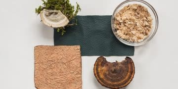 Sustainable Packaging Innovations: US Companies Cut Plastic Waste - Cover Image