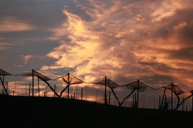 A geothermal energy plant with a wind farm in the background, illustrating the synergy between different renewable energy sources and their combined contribution to a sustainable energy grid.