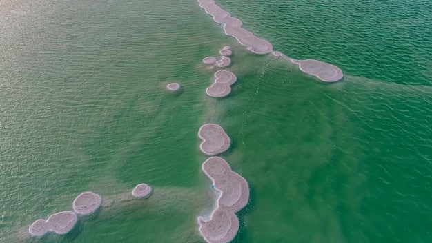 Algae Biofuel Revolution: Can It Power US Transportation by 2040?