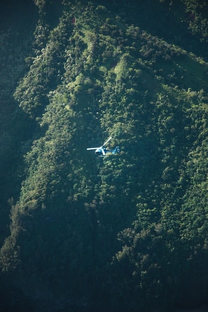 Sustainable Aviation Fuel (SAF): US Airlines’ Path to Carbon Reduction