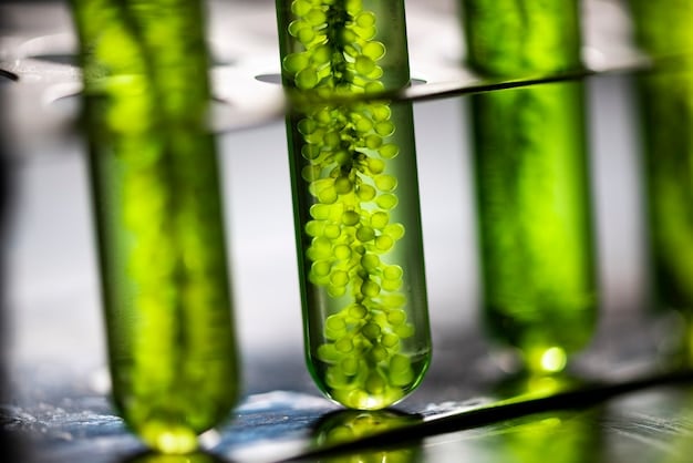 Close-up of a bioreactor in a lab, showing algae being cultivated for SAF production, highlighting the innovative processes and technology involved in creating sustainable fuels.