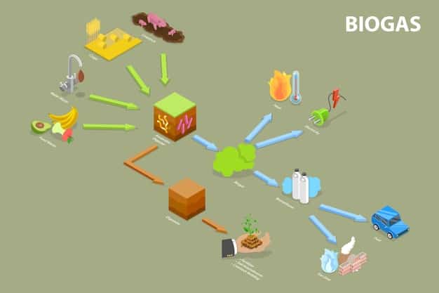 A diagram comparing the lifecycle of traditional plastics vs. bioplastics, highlighting the key stages (raw material extraction, production, usage, end-of-life) and their environmental impacts. The bioplastics side shows renewable resources and biodegradability, while the traditional plastics side shows fossil fuels and landfill accumulation.