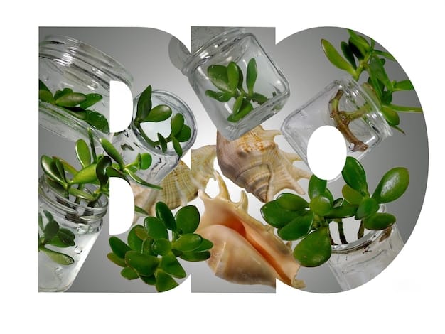 A collage showcasing different real-world applications of bioplastics, such as food packaging, agricultural mulch films, disposable cutlery, and medical implants. Each application is clearly labeled with the type of bioplastic used and its specific advantages in that context.