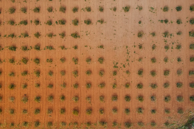 Carbon Offsetting in the US: Evaluating Climate Change Projects
