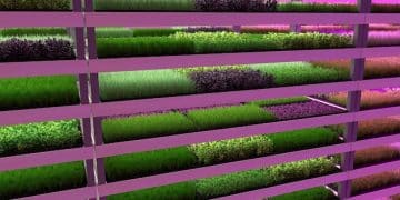 Vertical Farms: Revolutionizing US Agriculture with 30% Yield Boost - Cover Image