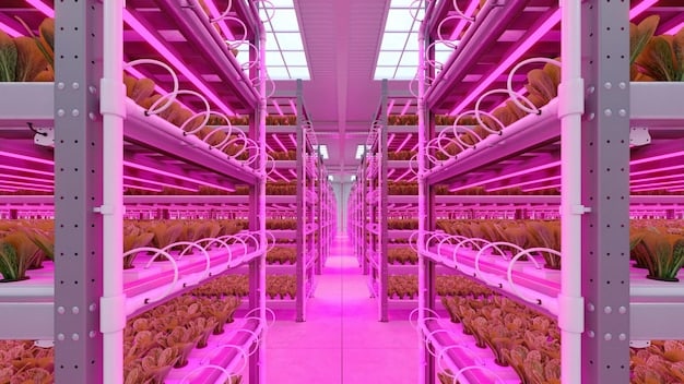 Vertical Farms: Innovations Boosting US Agriculture Yields by 30%