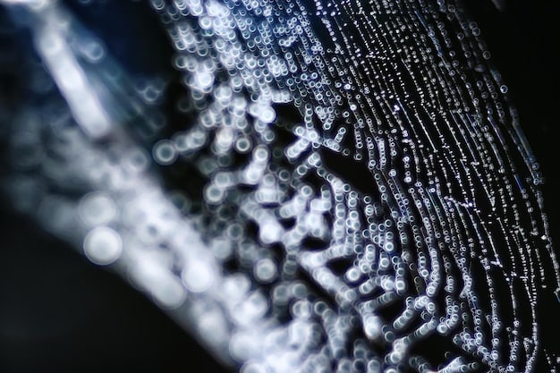 Close-up of an advanced electrolyzer system, showcasing its intricate design and high-efficiency components, with a focus on innovation and technological advancement.