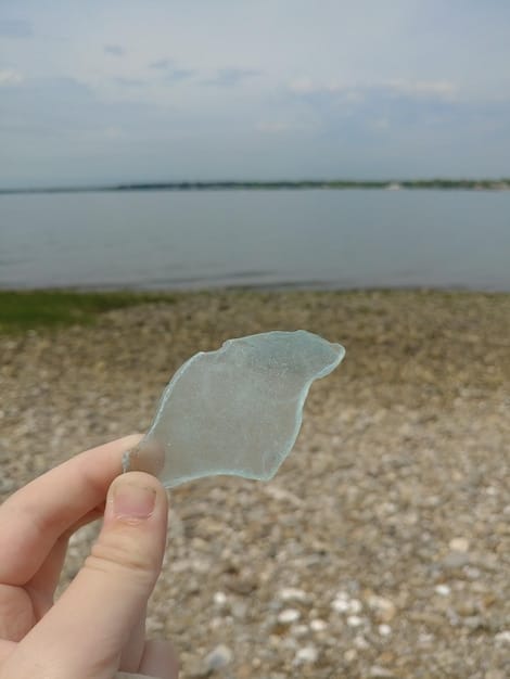 A close-up shot of a hand holding a transparent film made from seaweed, showcasing its flexibility and clarity. The background is blurred, featuring a coastal scene with gentle waves and sandy beach to emphasize the marine origin and biodegradability of the material.
