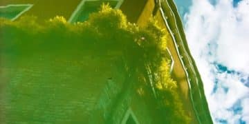 Algae Biofuel Revolution: Can It Replace Fossil Fuels by 2040? - Cover Image