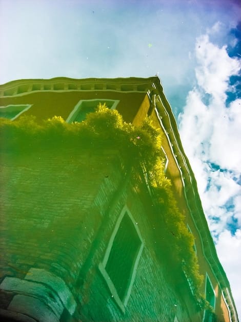 Algae Biofuel Revolution: Can It Replace Fossil Fuels by 2040?