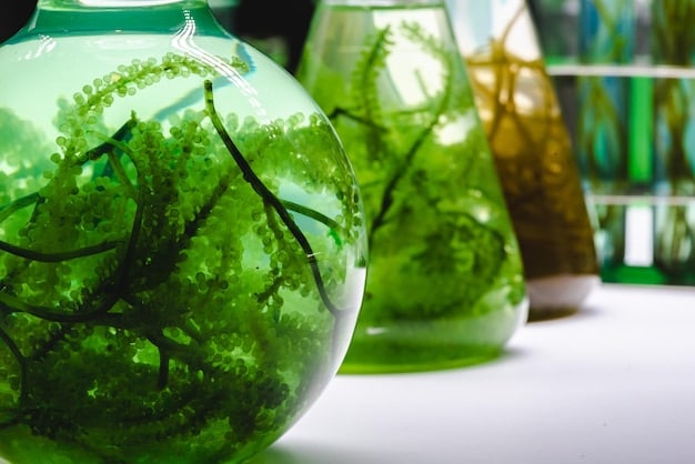 Close-up of various types of algae in laboratory flasks, highlighting the diversity of species used in biofuel research.
