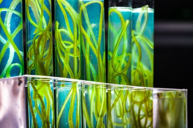 A close-up of algae being cultivated in a photobioreactor, with scientists in the background monitoring the process. The image highlights the innovative processes involved in producing SAF from renewable sources.