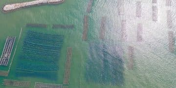 Green Tech Innovations Article - green_tech_greenpowerupdatecom_4_1749971031_67afbf2b_algae_biof.html - Cover Image
