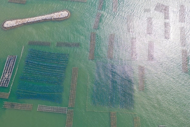 Green Tech Innovations Article – green_tech_greenpowerupdatecom_4_1749971031_67afbf2b_algae_biof.html