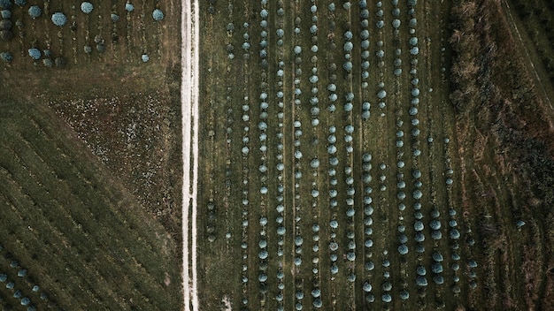 An aerial view of a solar farm in a rural area of the United States, surrounded by agricultural fields. The perspective showcases the scale of the renewable energy installation and its integration into the landscape.
